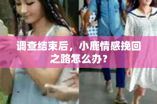 调查结束后,小鹿情感挽回之路怎么办? 调查结束后,小鹿情感挽回之路怎么办?