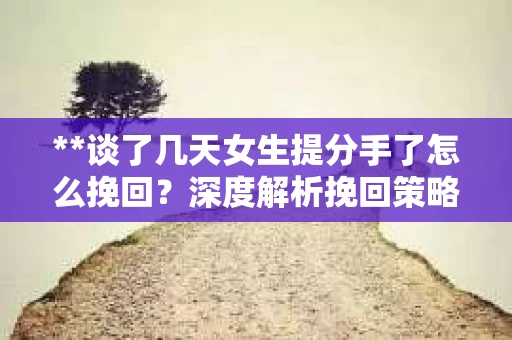 **谈了几天女生提分手了怎么挽回？深度解析挽回策略**