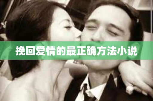 挽回爱情的最正确方法小说