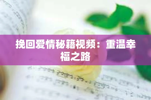 挽回爱情秘籍视频：重温幸福之路