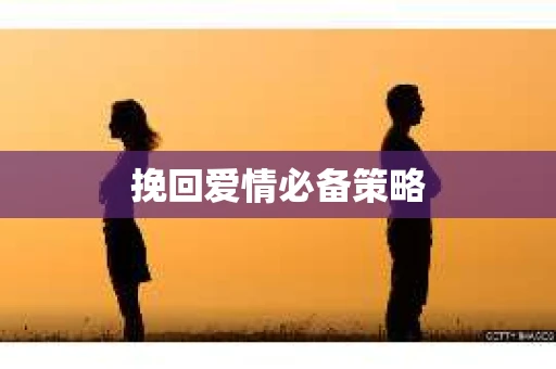 挽回爱情必备策略