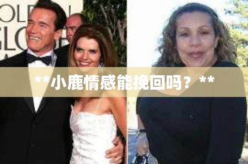 **小鹿情感能挽回吗？**