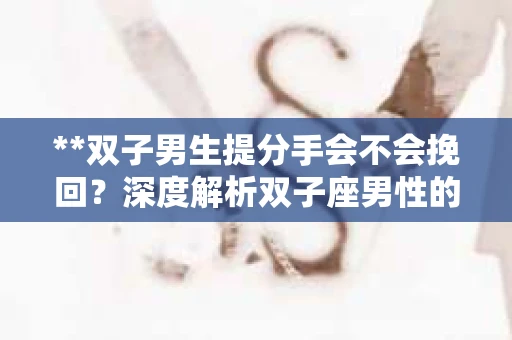 **双子男生提分手会不会挽回？深度解析双子座男性的情感决策**