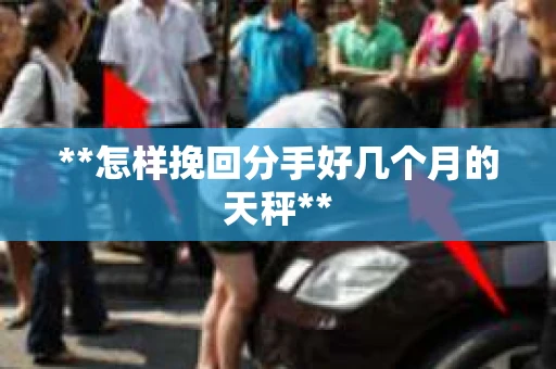 **怎样挽回分手好几个月的天秤**