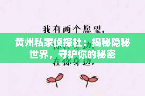 黄州私家侦探社：揭秘隐秘世界，守护你的秘密