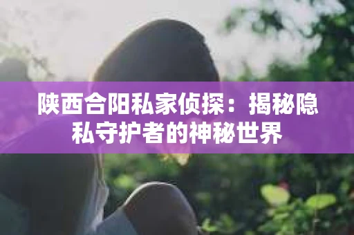 陕西合阳私家侦探：揭秘隐私守护者的神秘世界