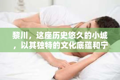 黎川，这座历史悠久的小城，以其独特的文化底蕴和宁静的生活节奏吸引着无数游客。然而，在这样一个看似平静的城市里，你是否会好奇，有没有私家侦探机构的存在呢？今天，就让我带你一探究竟。