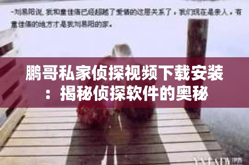 鹏哥私家侦探视频下载安装：揭秘侦探软件的奥秘