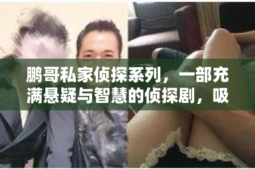 鹏哥私家侦探系列，一部充满悬疑与智慧的侦探剧，吸引了无数观众的眼球。今天，就让我带你走进这个充满神秘色彩的侦探世界，一起在线观看鹏哥私家侦探系列，感受那扣人心弦的故事情节。