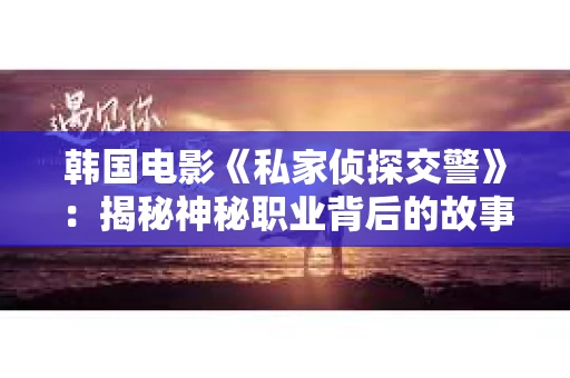 韩国电影《私家侦探交警》：揭秘神秘职业背后的故事