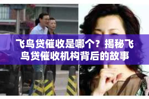 飞鸟贷催收是哪个？揭秘飞鸟贷催收机构背后的故事