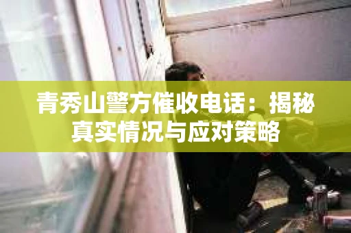 青秀山警方催收电话：揭秘真实情况与应对策略