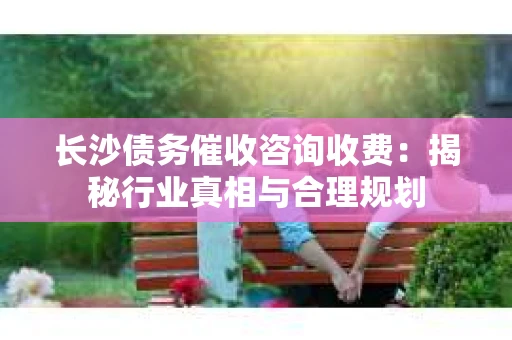 长沙债务催收咨询收费：揭秘行业真相与合理规划
