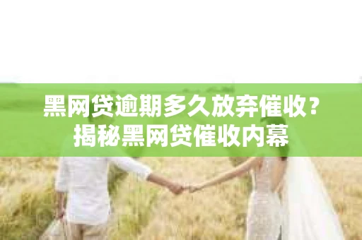 黑网贷逾期多久放弃催收？揭秘黑网贷催收内幕
