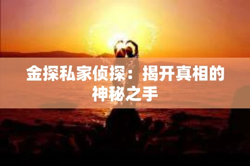 金探私家侦探：揭开真相的神秘之手