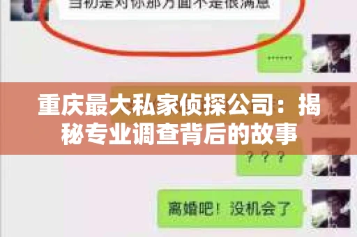 重庆最大私家侦探公司：揭秘专业调查背后的故事