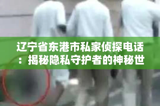 辽宁省东港市私家侦探电话：揭秘隐私守护者的神秘世界