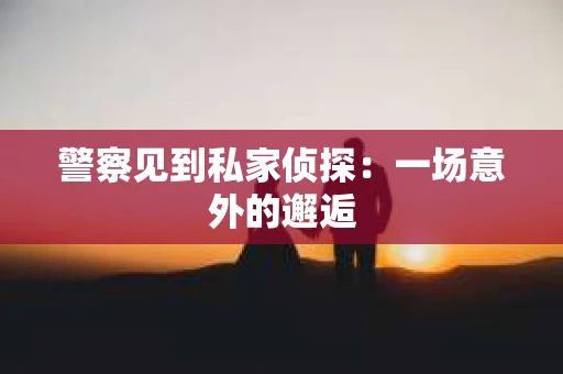 警察见到私家侦探：一场意外的邂逅