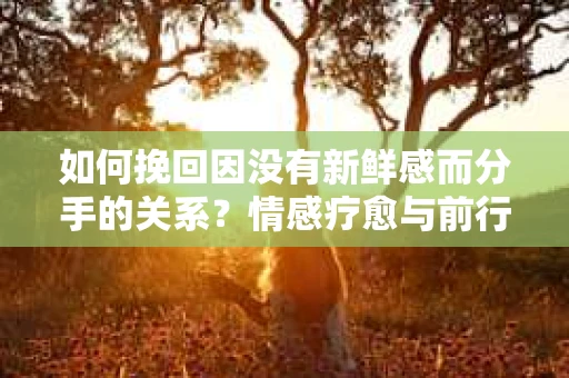 如何挽回因没有新鲜感而分手的关系？情感疗愈与前行计划