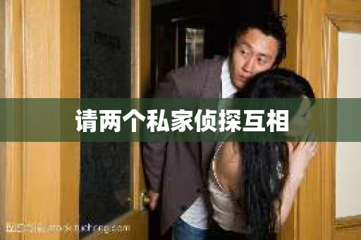 请两个私家侦探互相