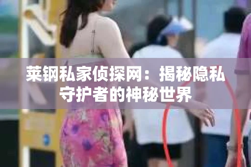 莱钢私家侦探网：揭秘隐私守护者的神秘世界