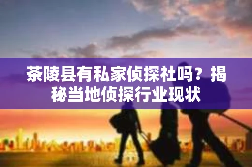 茶陵县有私家侦探社吗？揭秘当地侦探行业现状