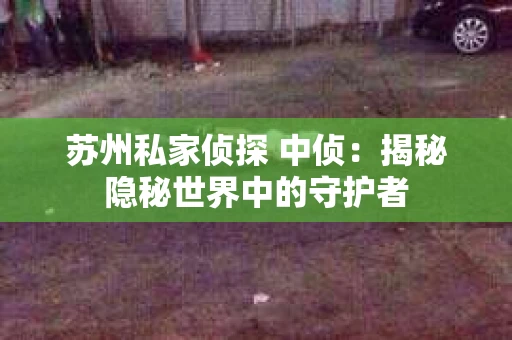 苏州私家侦探 中侦：揭秘隐秘世界中的守护者