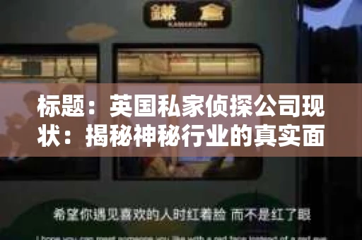 标题：英国私家侦探公司现状：揭秘神秘行业的真实面貌
