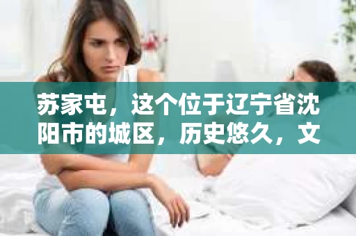 苏家屯，这个位于辽宁省沈阳市的城区，历史悠久，文化底蕴深厚。近年来，随着社会的发展，人们对于私家侦探的需求也逐渐增加。那么，苏家屯有私家侦探吗？今天，我们就来聊聊这个话题。