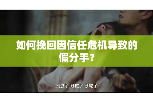 如何挽回因信任危机导致的假分手? 如何挽回因信任危机导致的假分手?