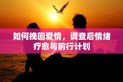 如何挽回爱情，调查后情绪疗愈与前行计划