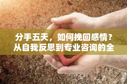 分手五天，如何挽回感情？从自我反思到专业咨询的全面解决方案