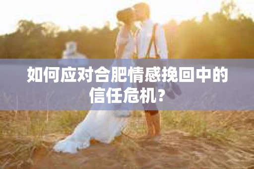 如何应对合肥情感挽回中的信任危机？