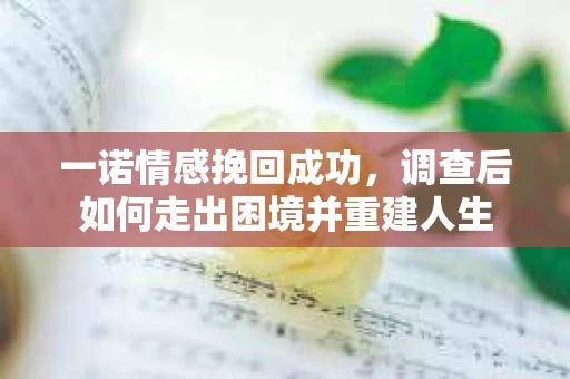 一诺情感挽回成功，调查后如何走出困境并重建人生